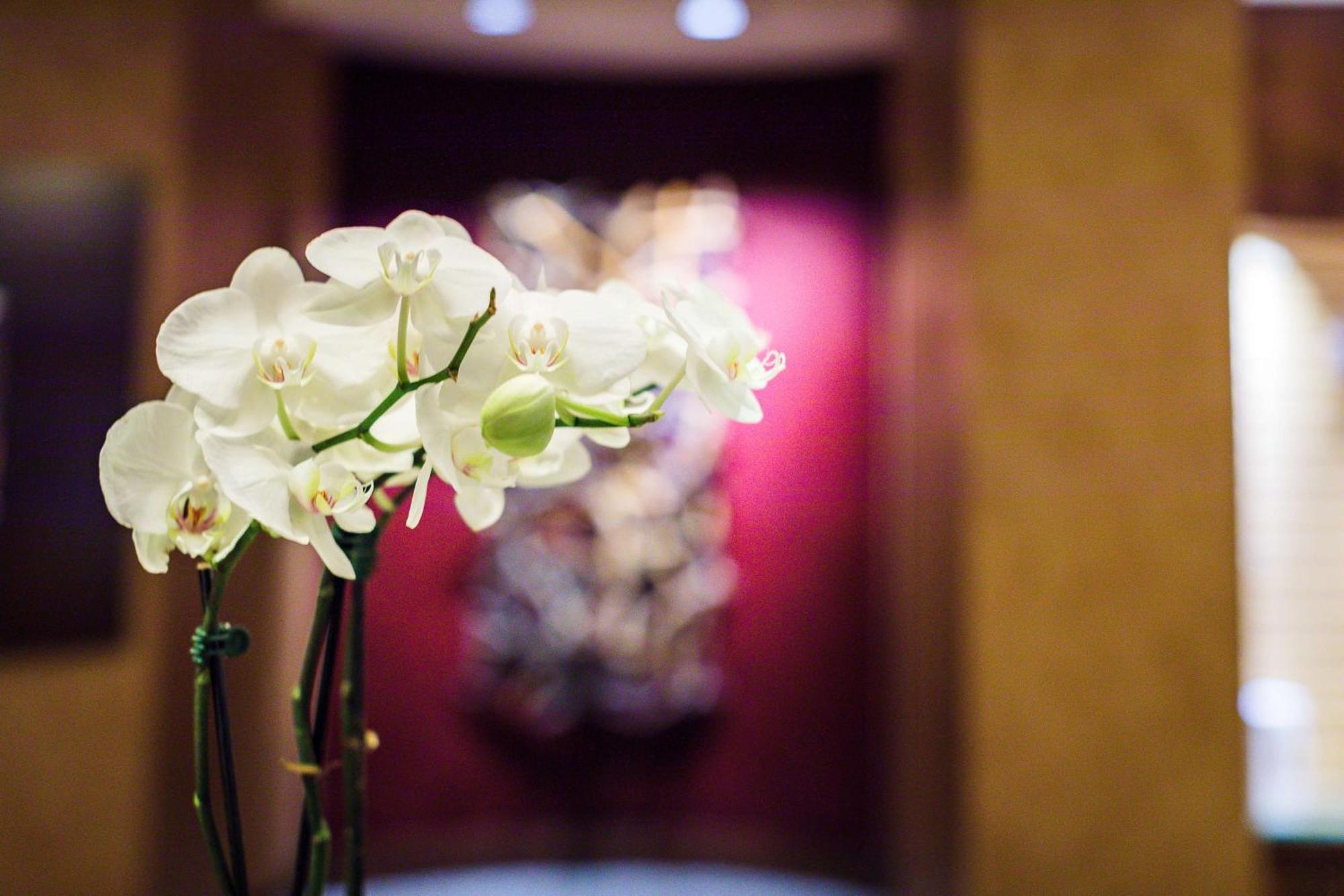 The Inverness Denver, A Hilton Golf & Spa Resort Енґлвуд Екстер'єр фото